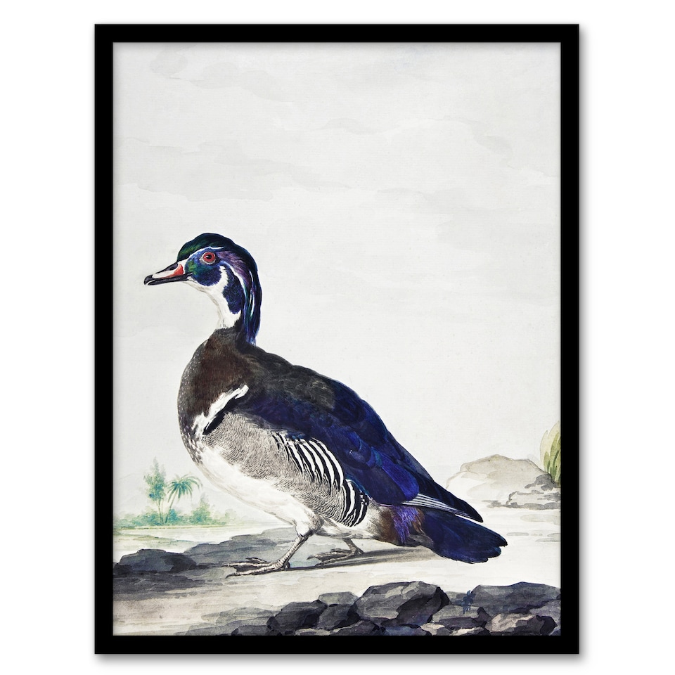 image 1 of Wood Duck Vintage Bird Oil Painting Schouman Framed Wall Art Print 12X16"