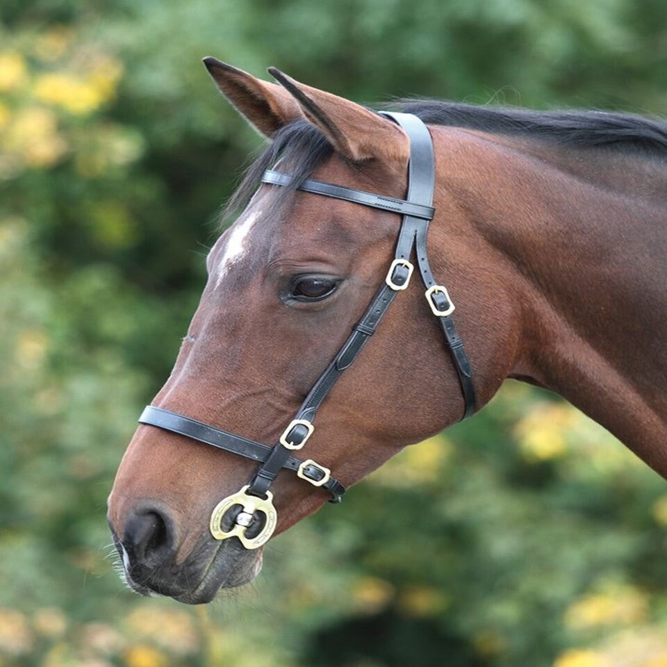image 1 of Shires Blenheim Plain Inhand Bridle Brown | Size: Cob
Colour: H.Brown