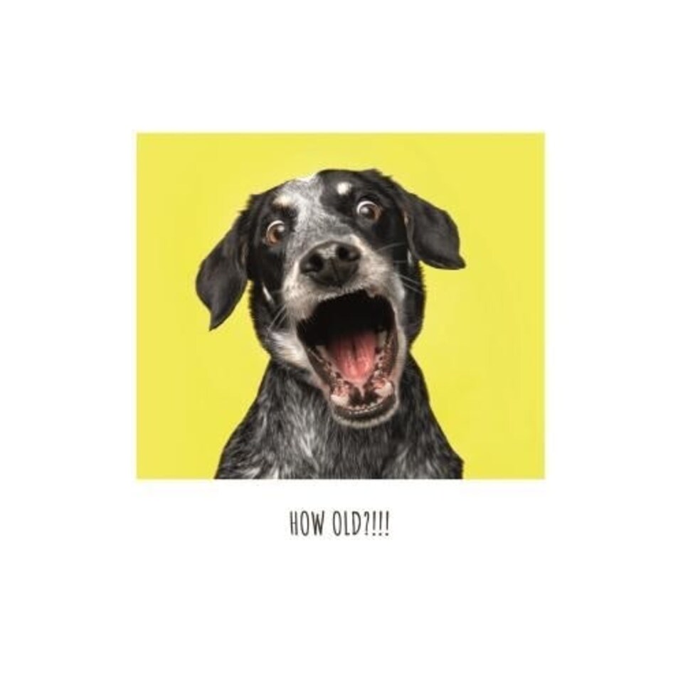 Click, Like & Share, Birthday Card for Him, "How Old!!!" Male Birthday Card, Funny Birthday Card for Him