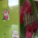 image 9 of 3D Holographic Beautiful Pink Tulips Wonderful Mum Mother's day Greetings Card