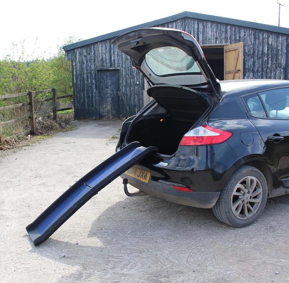 image 1 of Blue Lightweight Folding Travel Pet Ramp