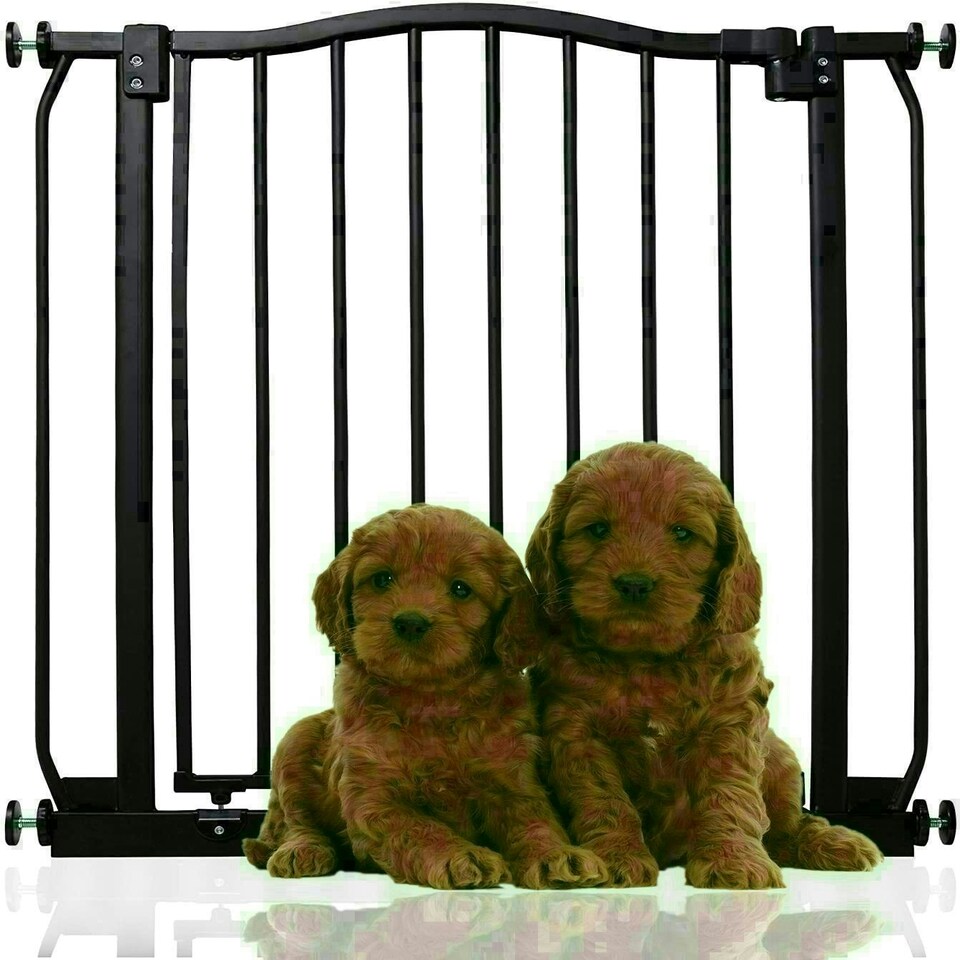 image 1 of Bettacare Curved Top Dog Gate, 71cm - 80cm, Matt Black, Pressure Fit Pet Gate for Dog and Puppy, Pet and Dog Barrier