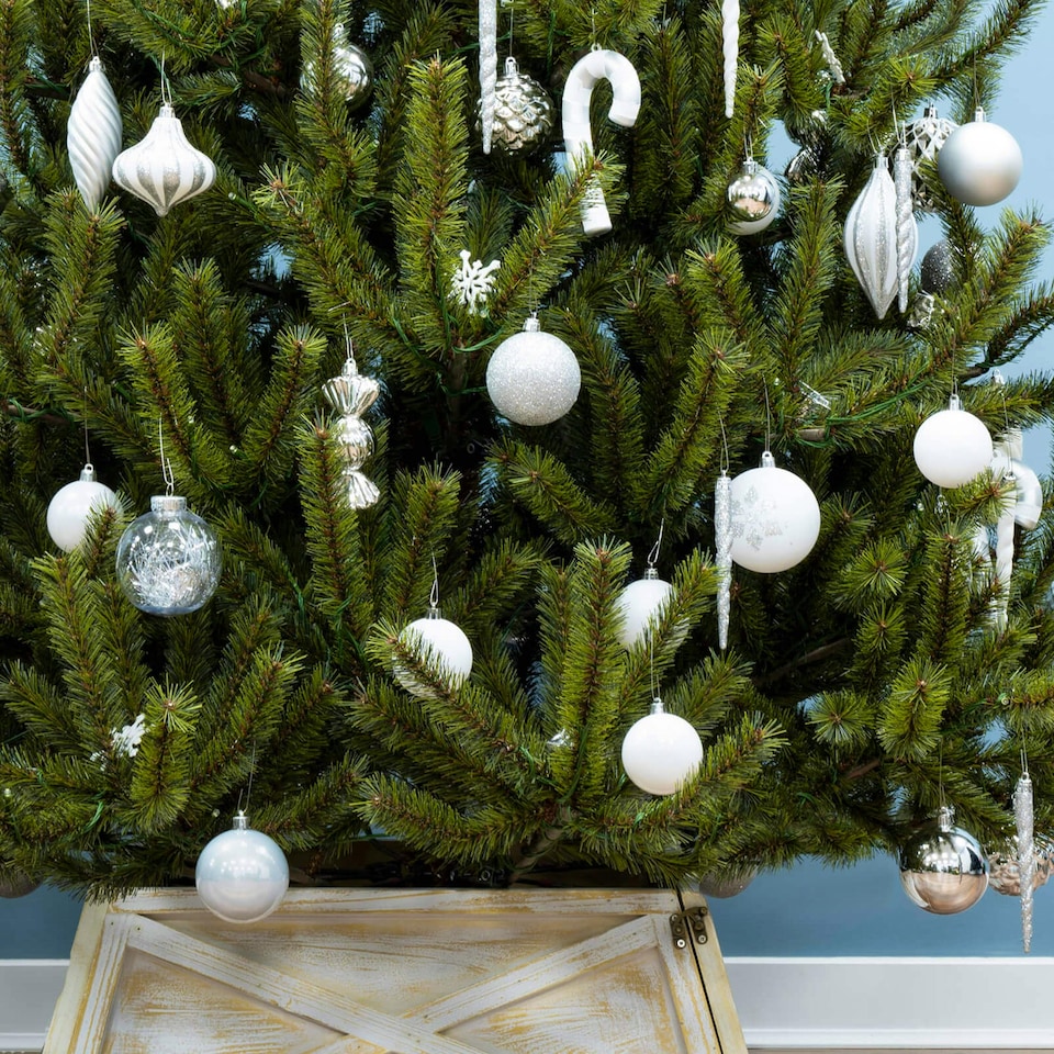 image 1 of Christmas Tree World  8ft/240cm Matterhorn Pine Christmas Tree