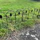 image 4 of Leaf Design Metal Garden Lawn Edging (45cm x 41cm) - 5 Panels