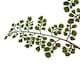 image 2 of Hill Interiors The Natural Garden Collection Maidenhair Fern Artificial Flower - Green - One Size