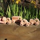 image 5 of Natural Wooden City E-Vehicles