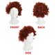 image 5 of Adult Ginger Afro Wig – Bright Curly Fancy Dress Hairpiece N/A | One Size