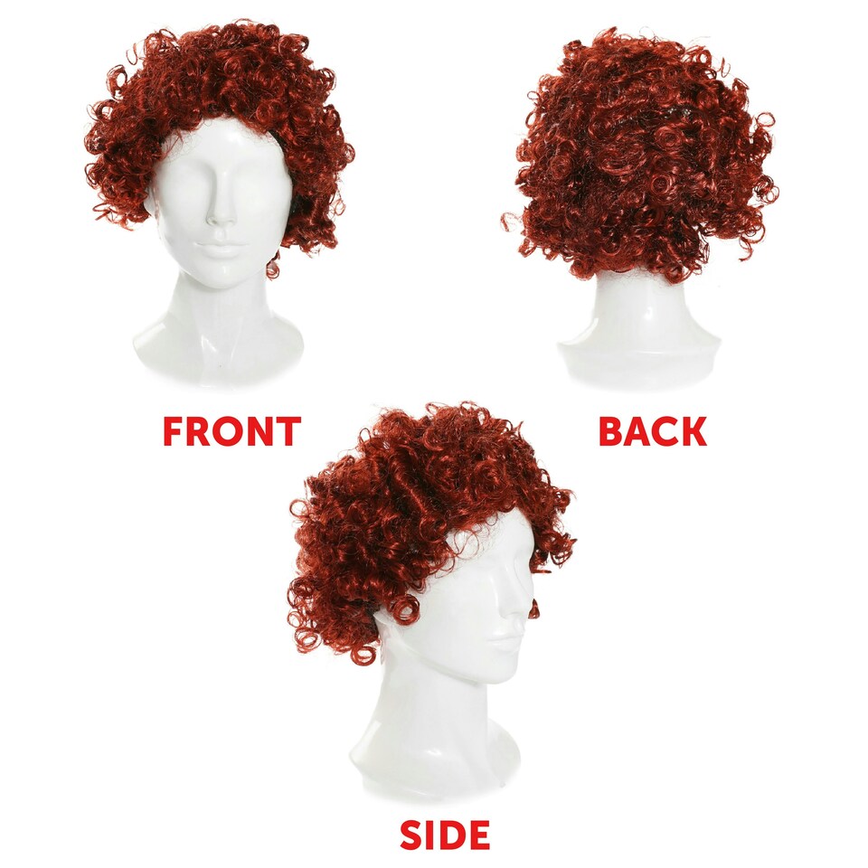 image 1 of Adult Ginger Afro Wig – Bright Curly Fancy Dress Hairpiece | Multi | One Size