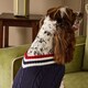 image 4 of Joules Dawson Medium Navy Dog Jumper