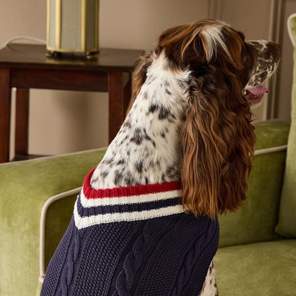 image 1 of Joules Dawson Medium Navy Dog Jumper