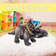 image 8 of Triceratops Dinosaur Soft Toy Dinosaur Skeleton Body Plush Cuddly 25cm Grey