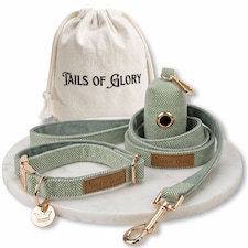 Luxury Green Tweed Dog Walking Set - 3 Piece
