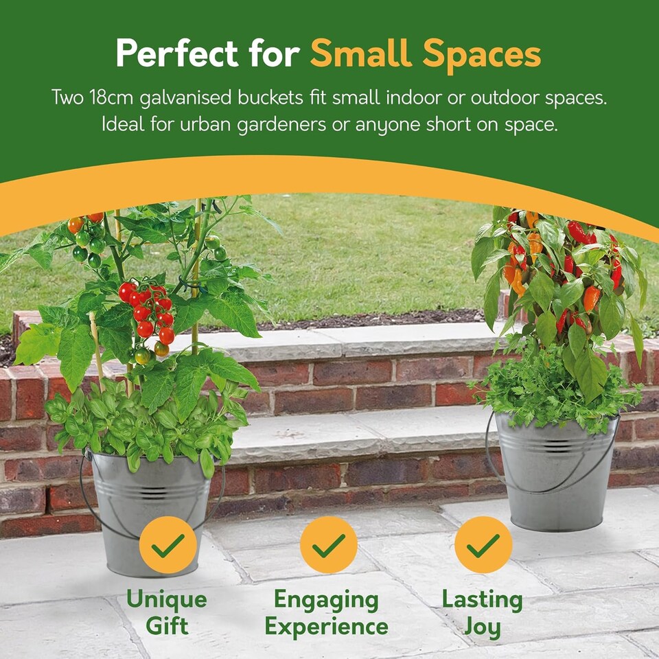 image 1 of Pronto Seed Grow Your Own Chilli, Tomato & Herb Kit with Galvanised Buckets - Combo Bucket Duo | Multi | Chilli/Tomato/Herbs | 1