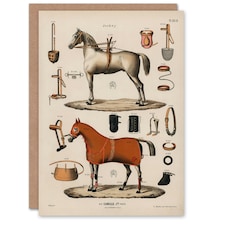 Antiquarian, Rare & Collectable