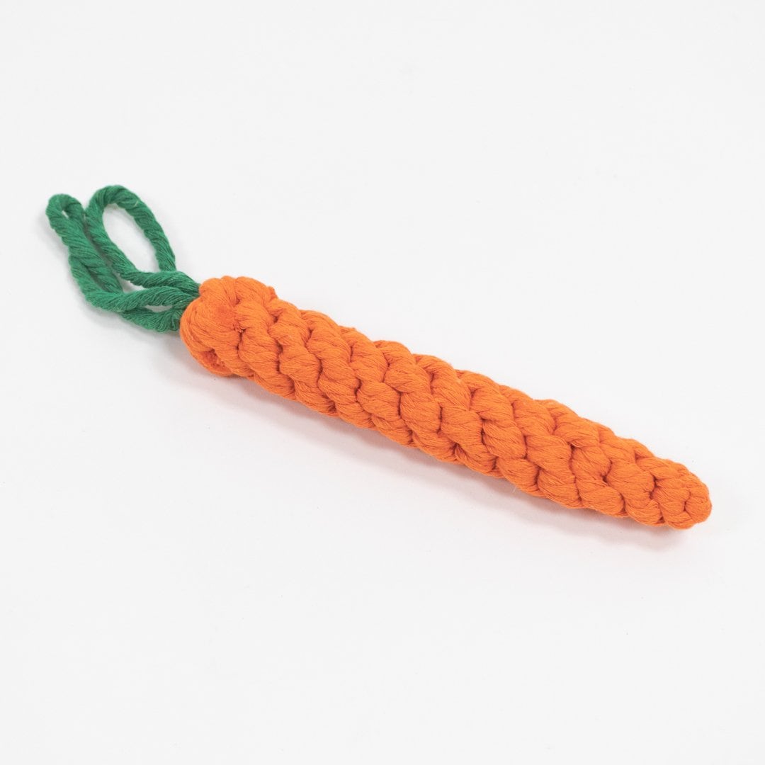 Easter Pet Rope Carrot Dog Toy