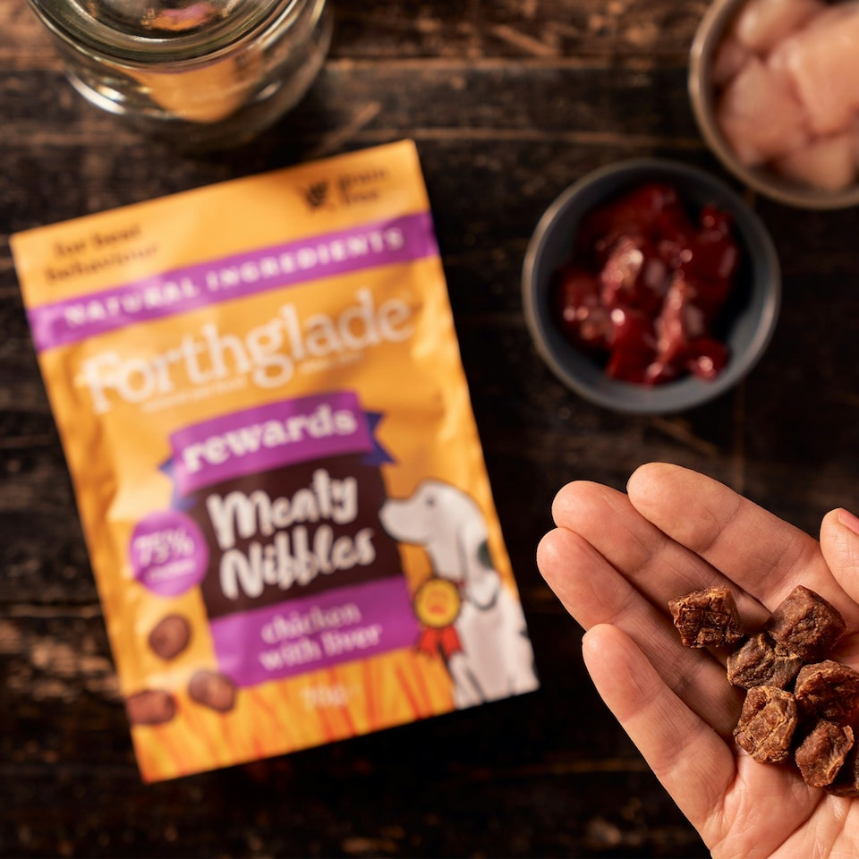 image 1 of Meaty Nibbles Chicken & Liver Dog Treats (4x70g)