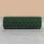 Forest Green Plush Velvet