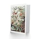 image 2 of Ernst Haeckel Art Card Kolibri Birds Hummingbird Species