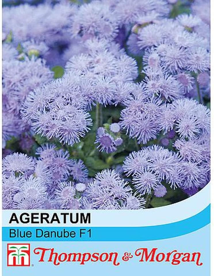 image 1 of Ageratum Blue Danube F1 Hybrid 1 Seed Packet (100 Seeds)