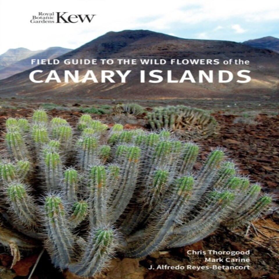 Field Guide To The Wild Flowers Of The Canary Islands
