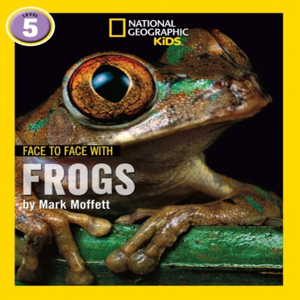 Face To Face With Frogs