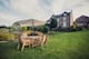 image 2 of Valley 4 Seater Square 4XC - Timber - L190 x W190 x H95 cm - Garden Furniture - Minimal Assembly Required