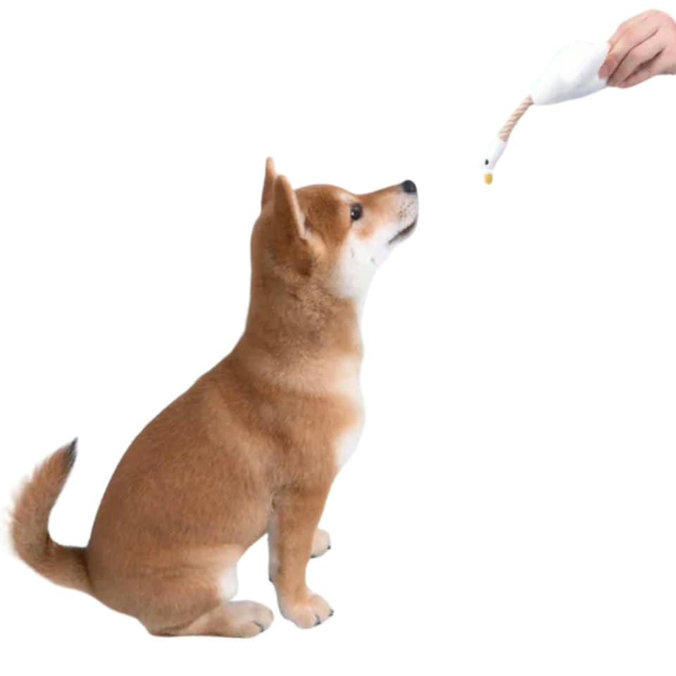 image 1 of PURLAB Bosie Goose Dog Toy