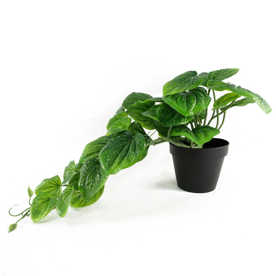 image 1 of Artificial Trailing Green Potted Pothos Plant Botanik