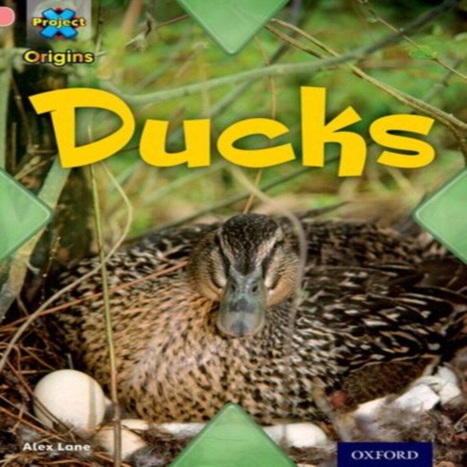 Project X Origins: Pink Book Band Oxford Level 1+: My Family: Ducks