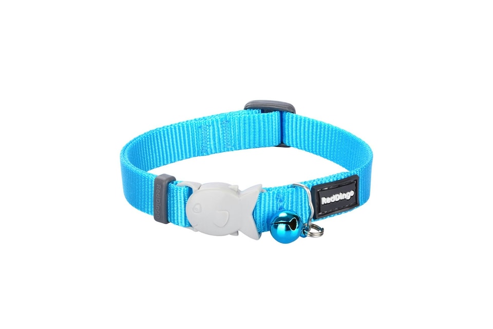 Kitten Collar Classic Turquoise | Blue | M