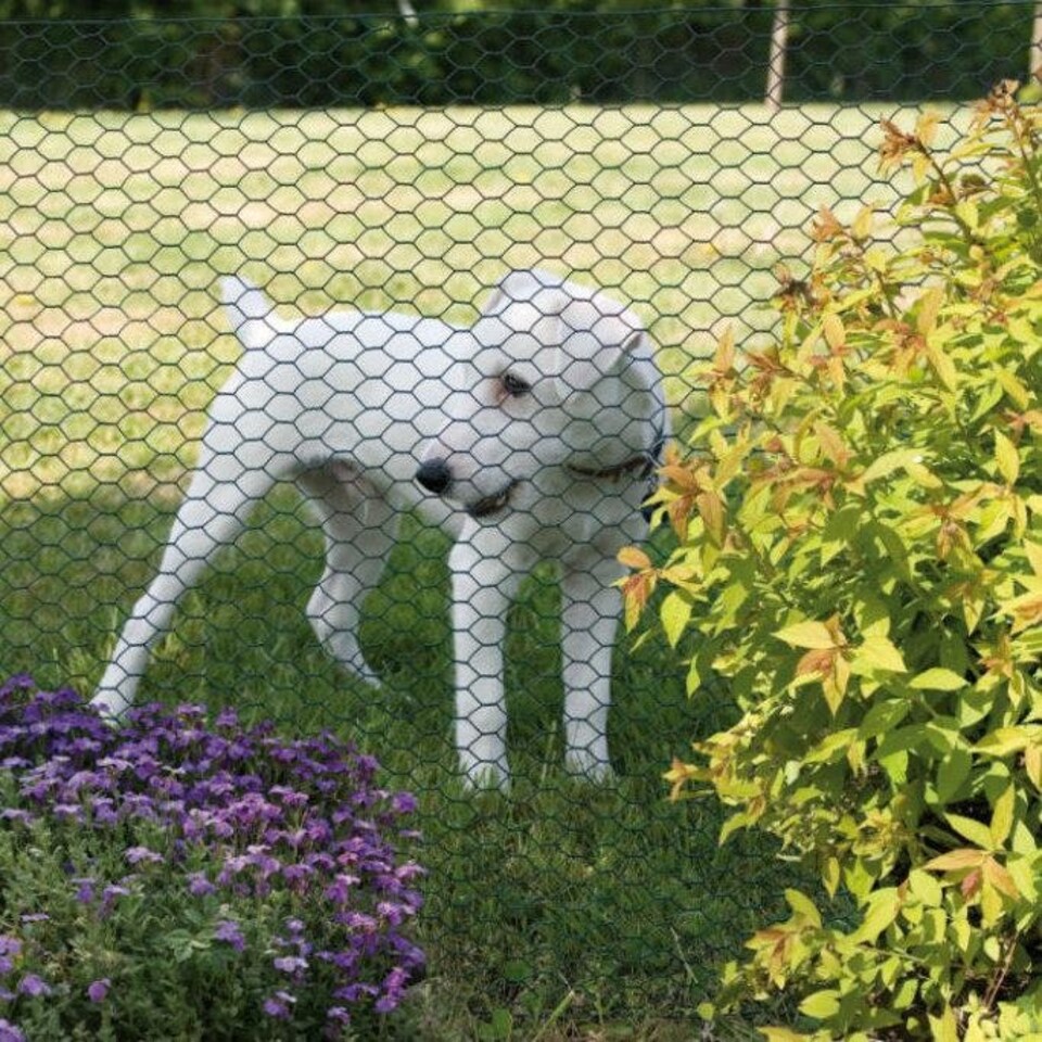 image 1 of True Products PVC Coated Galvanised Chicken Wire Netting - Rabbit Poultry Fence 50mm Mesh - 1m x 10m
