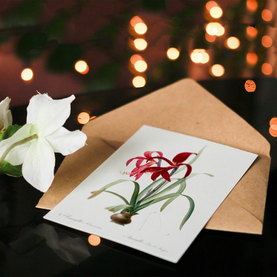 image 1 of Pierre-Joseph Redouté Art Card Aztec Lily Vintage Botanical