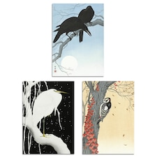 Set of 3 Ohara Koson Birds Japanese Nature Beige Blue A3 Wall Art Prints | Multi