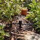image 8 of Antelco Mini Bubbler Irrigation Dripper  360degres  Adjustable Flow 4mm Barb Polypropylene