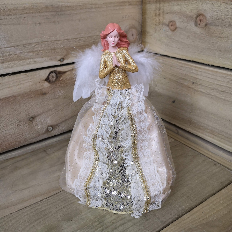 image 1 of 25cm Premier Christmas Tree Topper Angel Decoration with Feather Wings in Gold