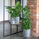 image 4 of Indoor Christmas Tree Bucket with Star in Galvanised Steel