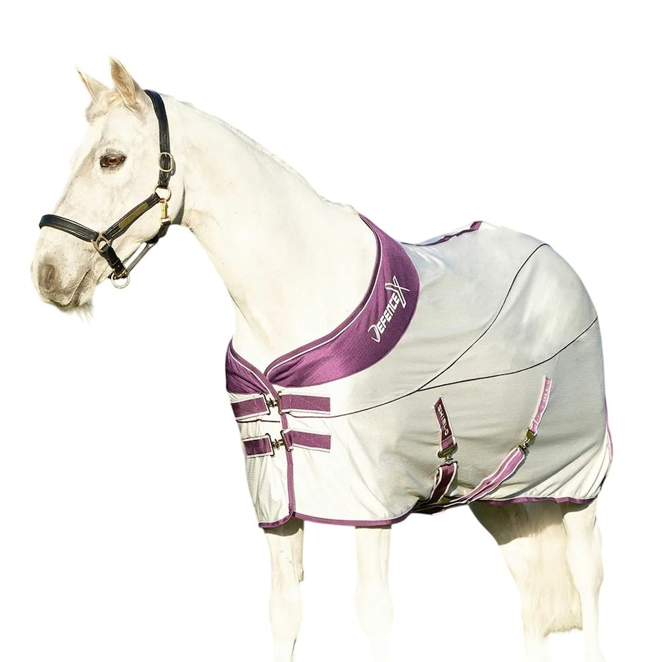 Hy DefenceX Shield Standard-Neck Sport Horse Cooler Rug - Grey/Purple - 5´