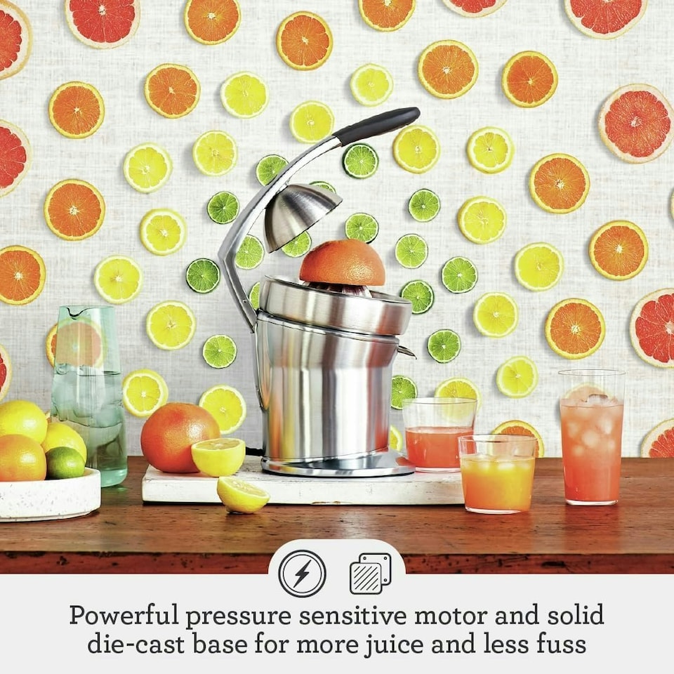 image 1 of Sage The Citrus Press Pro, Quiet Automatic Orange & Grapefruit Juicer - Lemon & Lime Squeezer - Acid-Resistant Die-Cast Stainless