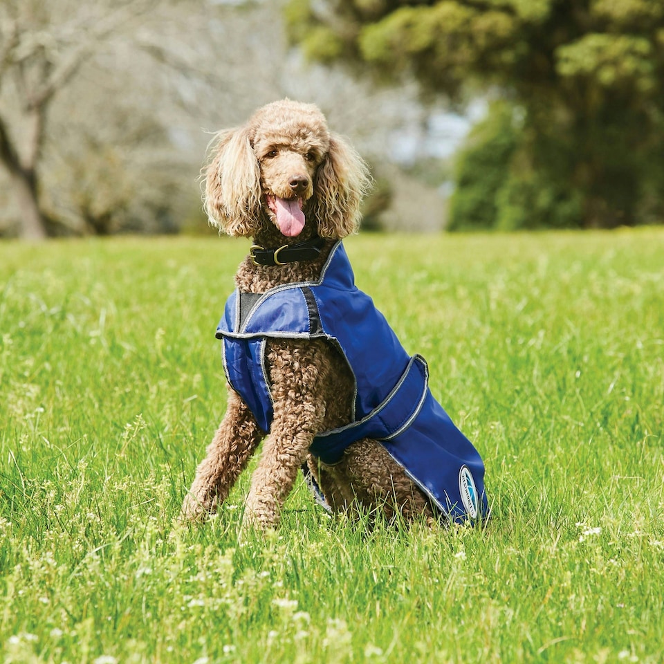 image 1 of Weatherbeeta Comfitec Windbreaker Free Deluxe Dog Coat - Dark Blue/Grey/White - 50cm