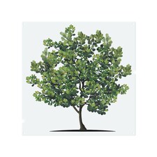 Tree Designer Splash Back | White