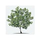 image 1 of Tree Designer Splash Back | White
