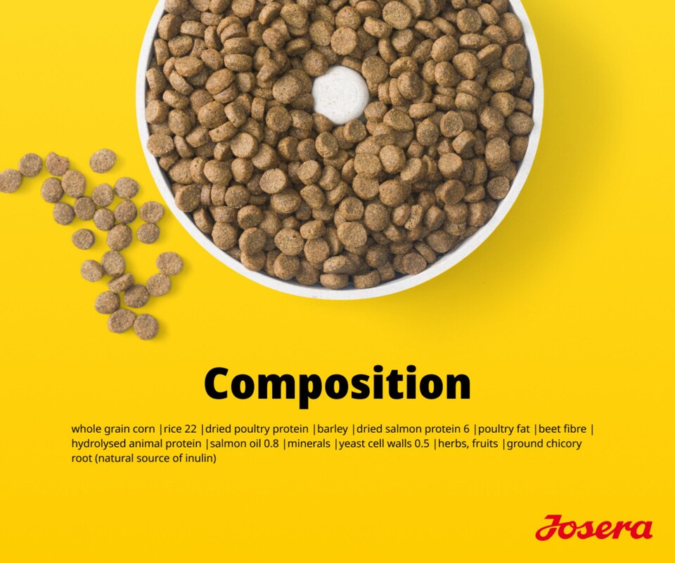 image 1 of Josera Senior Salmon & Rice complete dog food | All sizes | Lower protein & fat | Gluten-free | Immune support | Cardiac support | Salmon Oil Omega 3 | 12.5kg