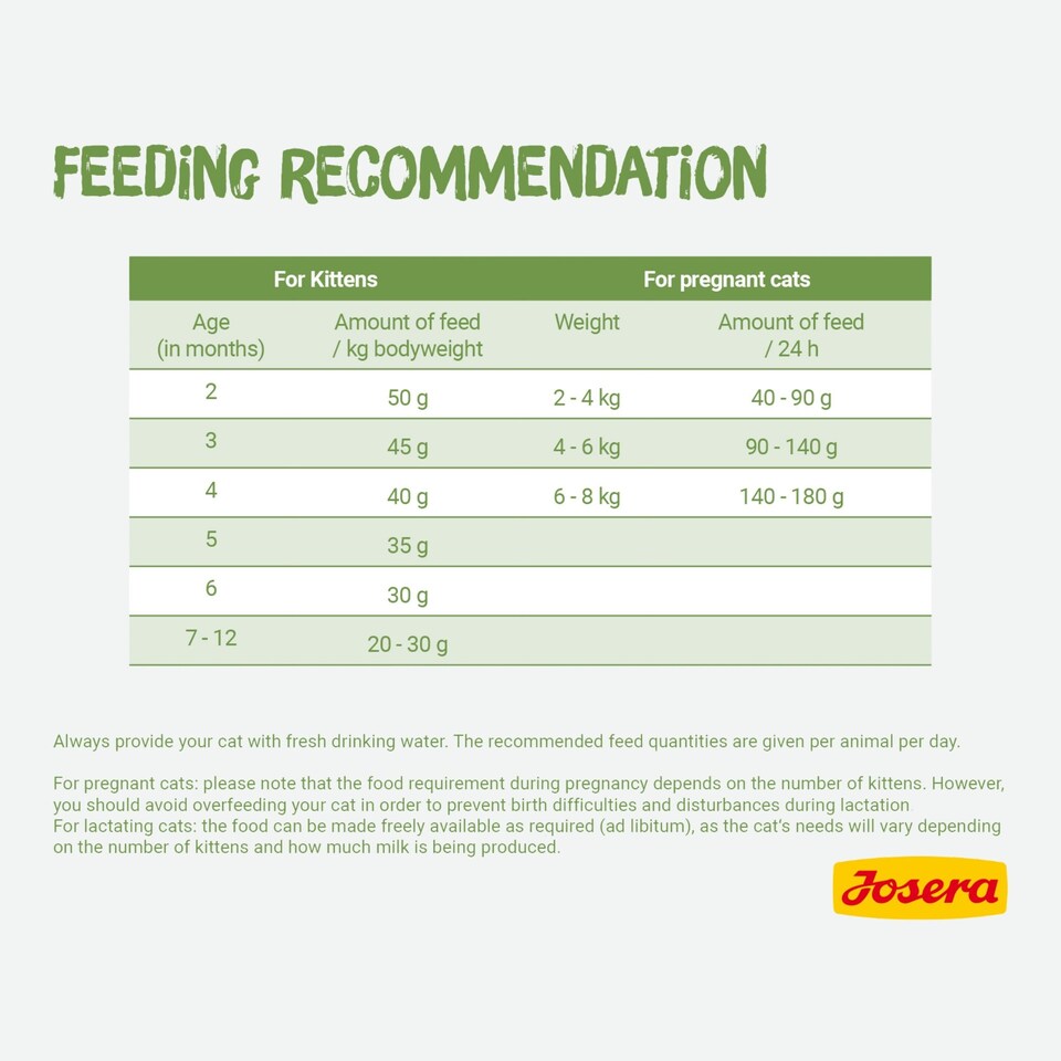 image 1 of Josera Kitten Grain-free complete food | Growing kittens | Pregnant & nursing mothers | Optimal development | Omega 3 | Anti-Hairball | Skin & Coat | 10kg