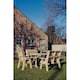 image 3 of Ergo Table Set - Sits 8 Wooden Garden Dining Furniture Incl. 2 Bench & 2 Chair - L240 x W140 x H105 cm - Minimal Assembly Required