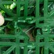 image 4 of Primrose Artificial Mixed Plants Red Rose Wall Hedge Panel 1m x 1m Set of 2