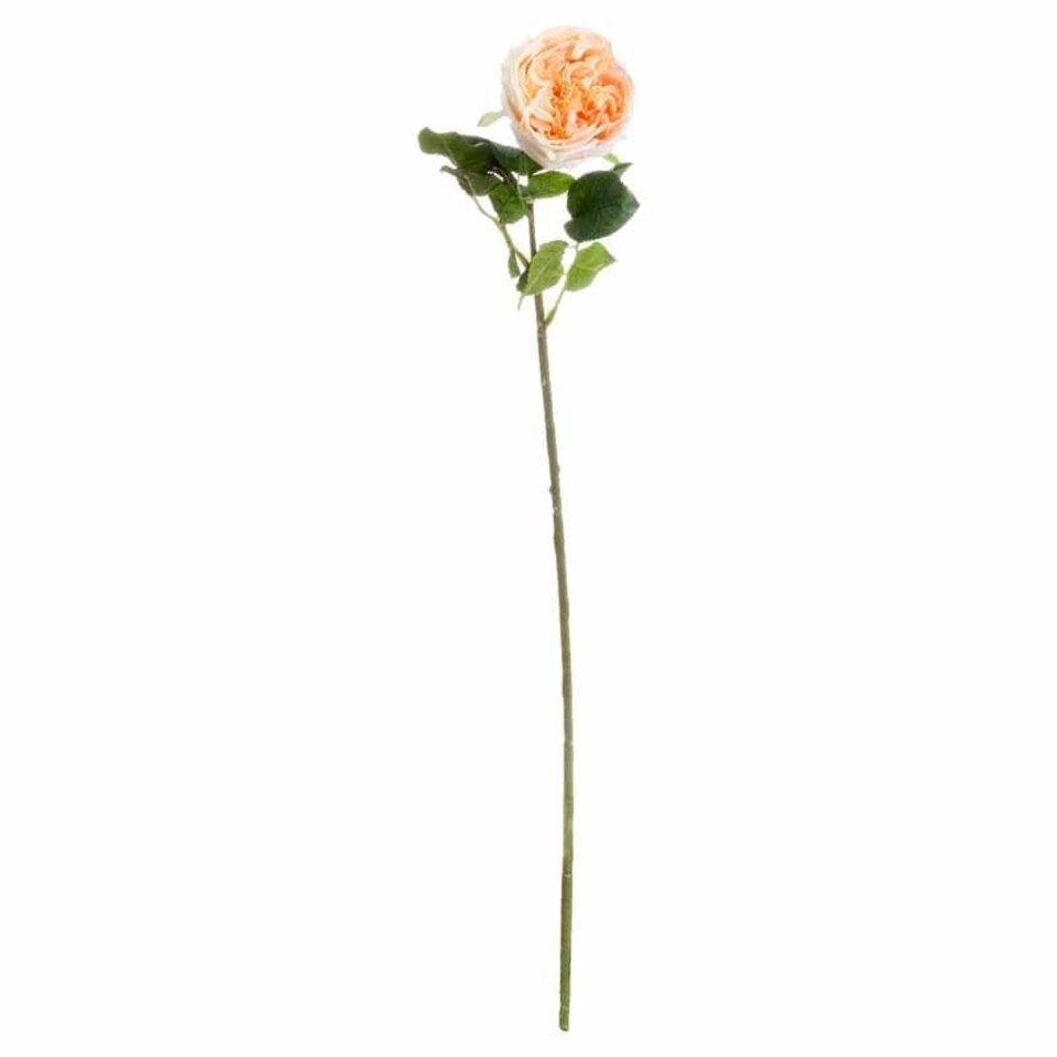 image 1 of Butter Portland Rose Artificial Flower - L7 x W12 x H72 cm