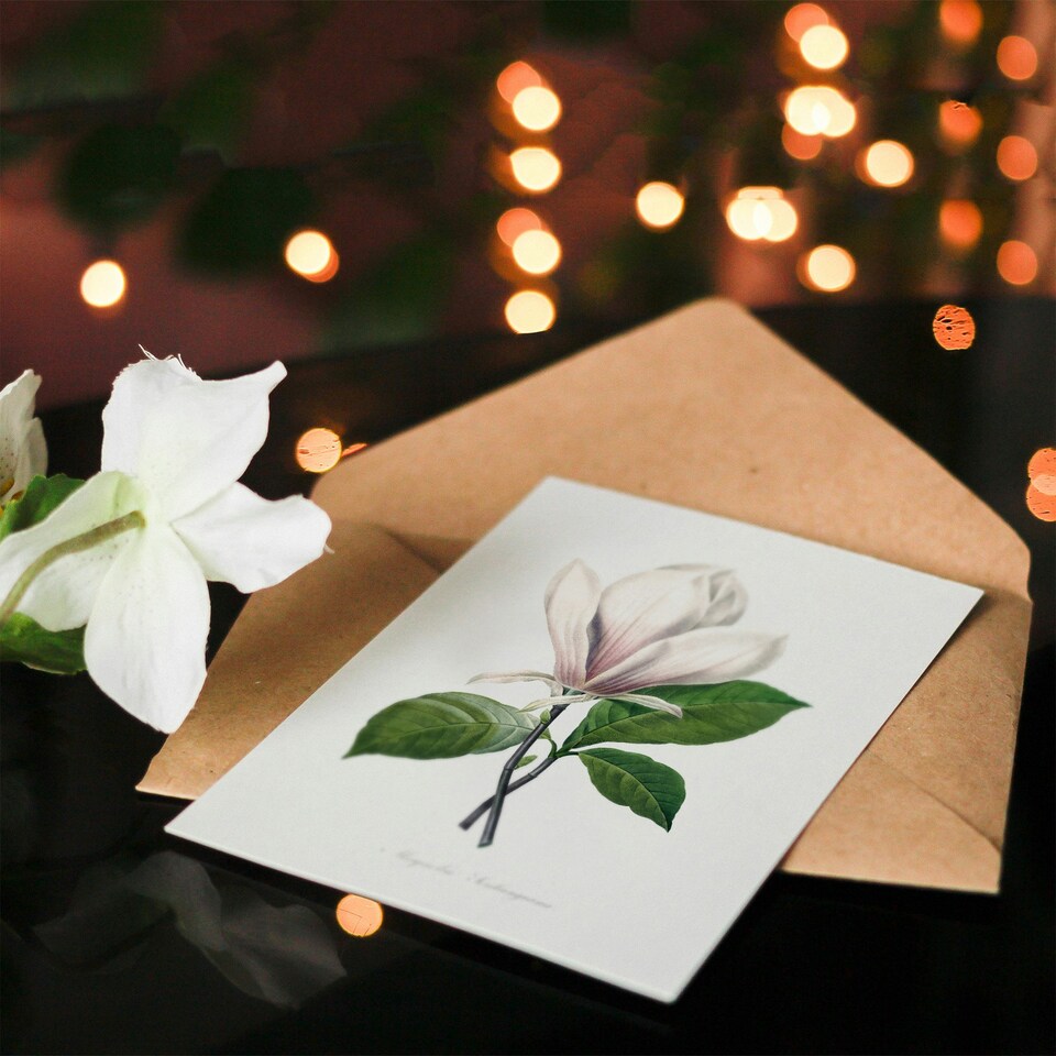 image 1 of Pierre-Joseph Redouté Art Card Saucer Magnolia Flower