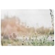 image 1 of Wild Daisies Rug White / L