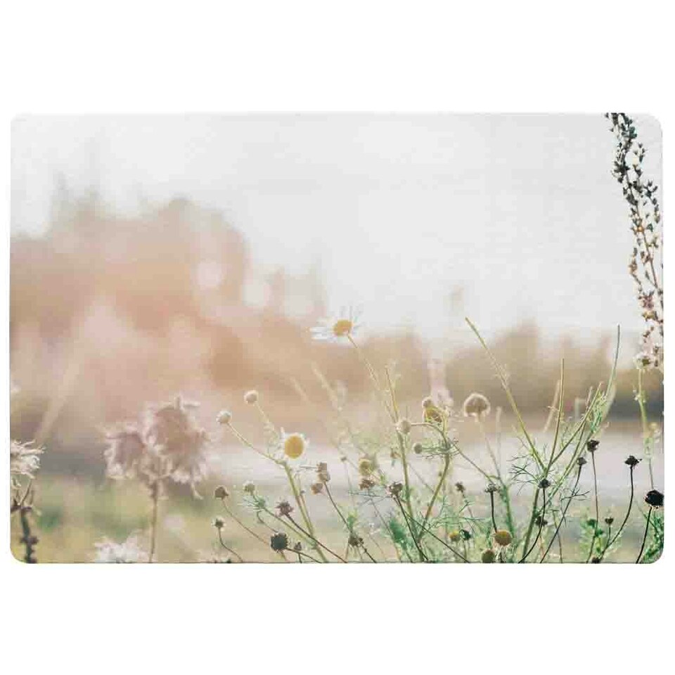 image 1 of Wild Daisies Rug White / L