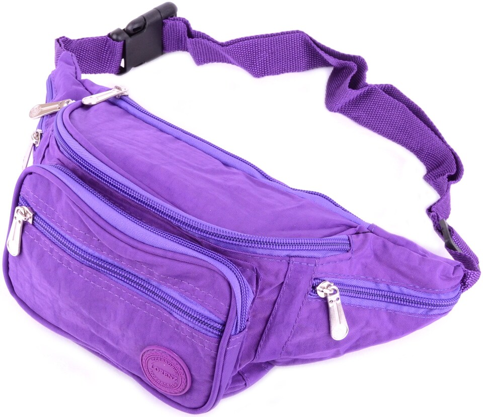 image 1 of Lorenz Crinkled Nylon Bum Bag / Waist Bag / Money Holder | Purple | Purple